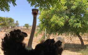 Finca Avestruz